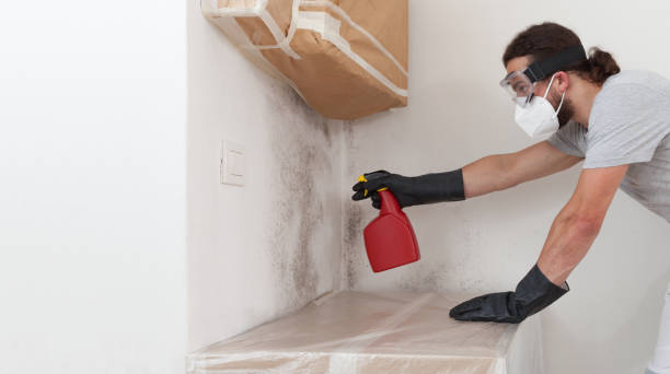 Professional Mold Removal technician working in Patchogue, NY